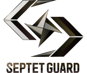The septet guard logo