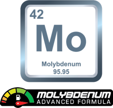 moly advanced formula